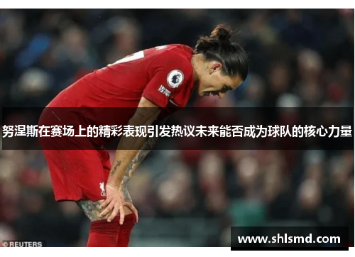 努涅斯在赛场上的精彩表现引发热议未来能否成为球队的核心力量