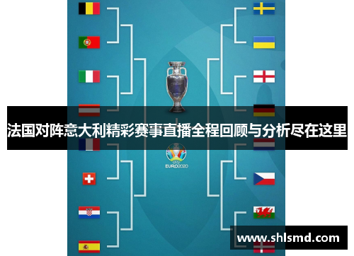 法国对阵意大利精彩赛事直播全程回顾与分析尽在这里